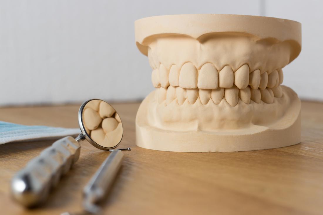 Dentist's teeth model with tools besides it.