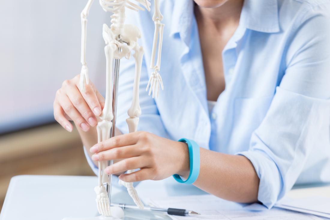 Person holding small anatomical model of skeleton.