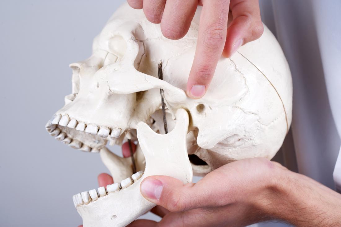 [pointing out the symptoms of tmj on a model skull]
